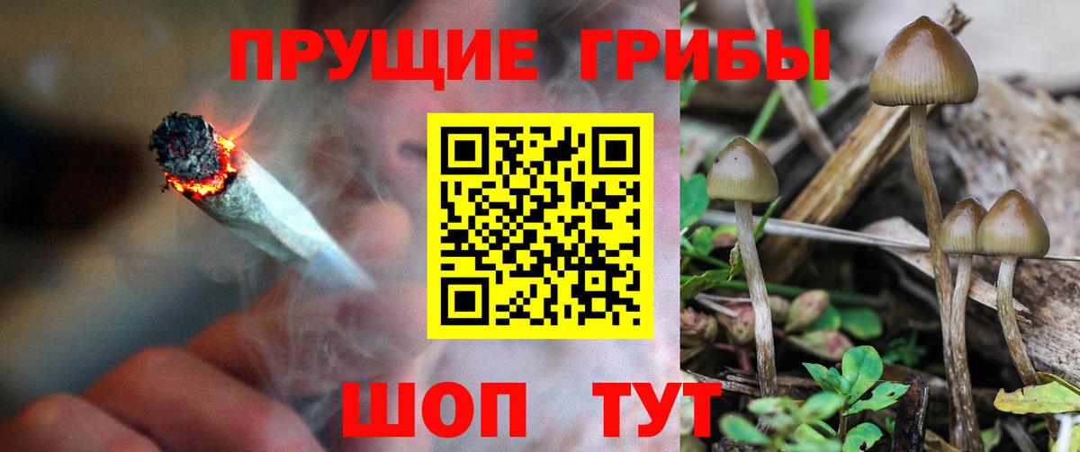 Галлюциногенные грибы MAGIC MUSHROOMS  Вход с VPN  Галлюциногенные грибы MAGIC MUSHROOMS  Дзержинский 